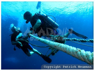 Divers at the buoyline